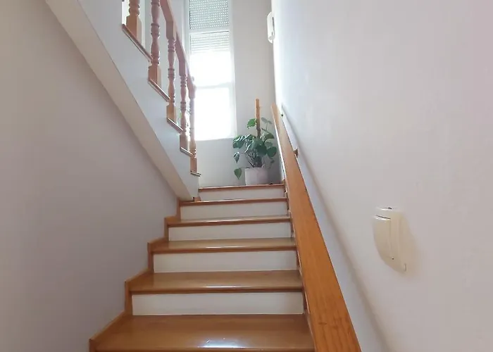 House Lilija زادار